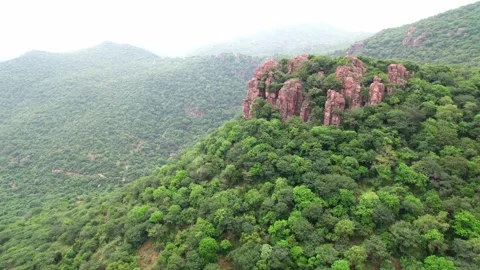 Aerial View of a forest behind cliff Stock Footage 162580584