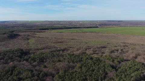 Aerial View of Forest Border and Open Fields in Early Spring Stock Footage 324889718