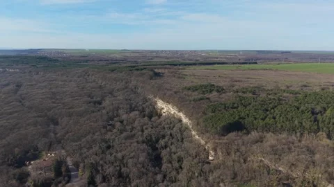 Aerial View of Forest Border and Open Fields in Early Spring Stock Footage 324889724