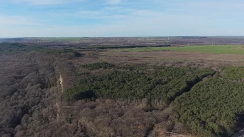 Aerial View of Forest Border and Open Fields in Early Spring Stock Footage 324889725