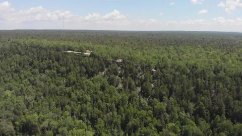 Aerial view of a Forest in Canada Stock Footage 143108629
