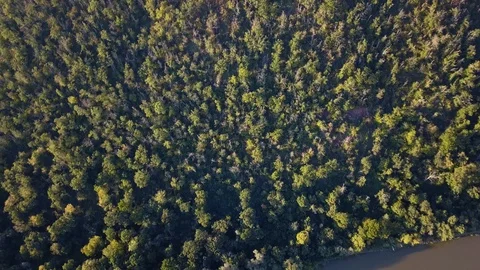 Aerial view of forest in the canyon. 스톡 동영상 111648073