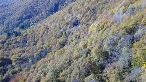 Aerial view of forest of the Caucasus mountains in autumn Stock Footage 321324326