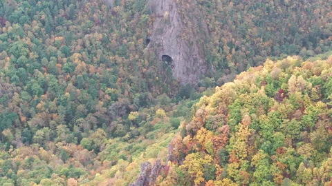 Aerial View of Forest With Cave in the Middle Stock Footage 266920480