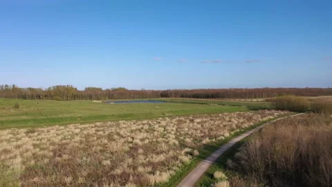 Aerial view of forest, clouds and plants in spring Stock Footage 152949344