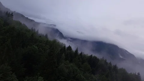 Aerial view of a forest with clouds Stockbeeldmateriaal 91733039