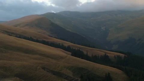 Aerial view of forest cloudy weather Stock Footage 151273020
