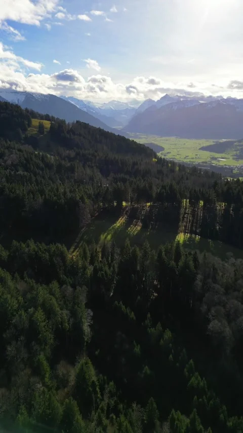 Aerial view of a forest covered hillside in the Swiss Alps nature vertical Stockbeeldmateriaal 334091126