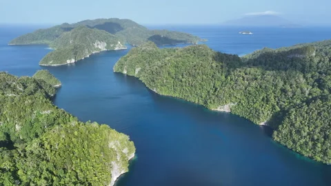 Aerial View of Forest-Covered Limestone Islands in Alyui Bay, Raja Ampat Stock Footage 254349001