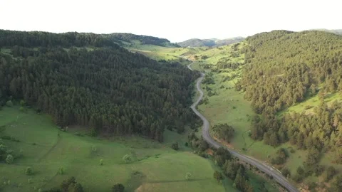 Aerial view of a forest-covered mountain road on a Turkish plateau Stock Footage 294168635