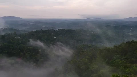 Aerial View of Forest Covered Mountain Surrounded by Low Clouds and Mist Stock Footage 341309542