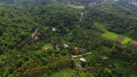Aerial View of Forest Covered Mountain Surrounded by Low Clouds and Mist Stock Footage 341309552