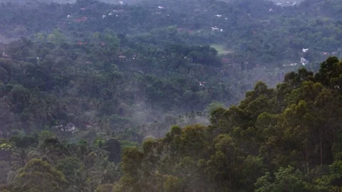 Aerial View of Forest Covered Mountain Surrounded by Low Clouds and Mist Stock Footage 341309577