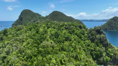 Aerial View of Forest-Covered Rock Island in Raja Ampat Stock Footage 240449448