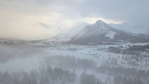 Aerial view of a forest covered in snow and mist Stock Footage 124284641