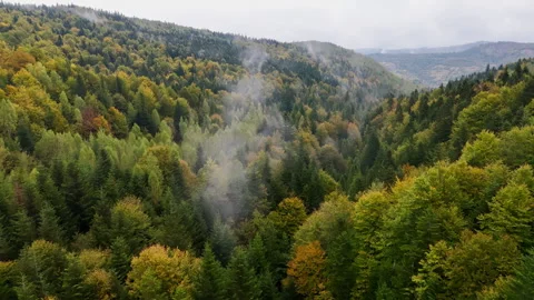 An aerial view of a forest-covered valley in autumn with rising fog Stock Footage 318907404