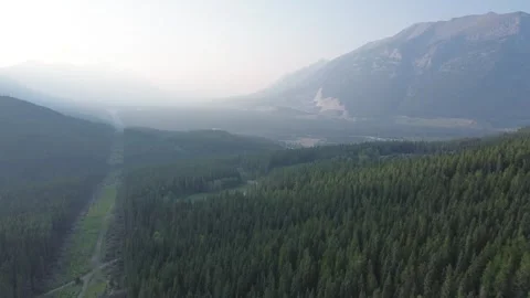 Aerial View of a Forest Cut Line in the Mountains Stock Footage 318818031