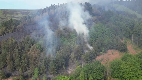 Aerial view of forest deforestation, forest fire burning and smoking, in the Video stock 270319702