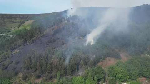 Aerial view of forest deforestation, forest fire burning and smoking, in the Video stock 270319768