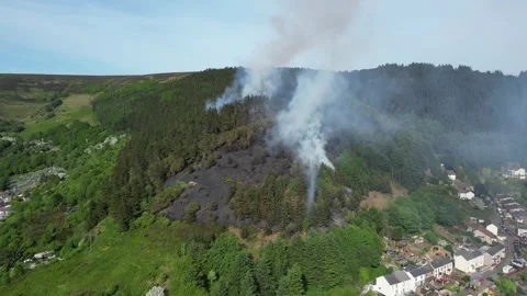 Aerial view of forest deforestation, forest fire burning and smoking, in the Video stock 270319875