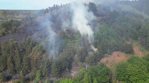 Aerial view of forest deforestation, forest fire burning and smoking, in the Video stock 270320008