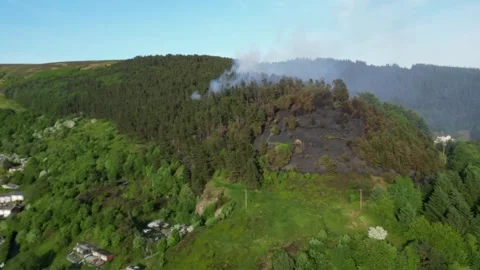 Aerial view of forest deforestation, forest fire burning and smoking, in the Video stock 270320054