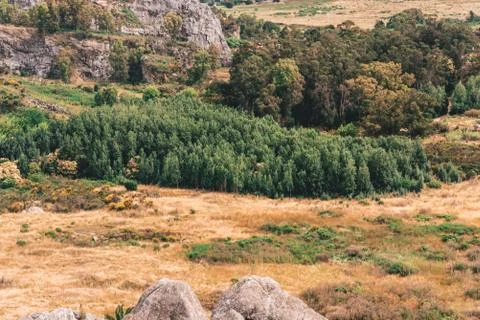 Aerial view of a forest with different types of trees and a quarry of stones Stock Photos