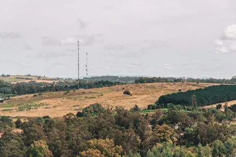 Aerial view of a forest with different types of trees, clear land and telecom Stock Photos