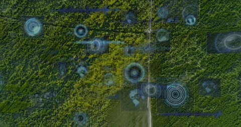 Aerial view of forest with digital data processing animation overlay Stock Footage 328354865