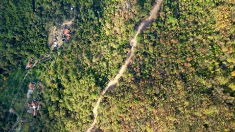 Aerial view of the forest from a drone Stock Footage 257785643