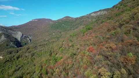 Aerial view of the forest from a drone Stock Footage 257785948