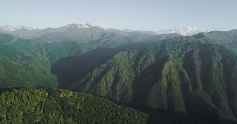 Aerial view of forest. Drone point of view of green mountain range, with glacier Vídeo Stock 156079614