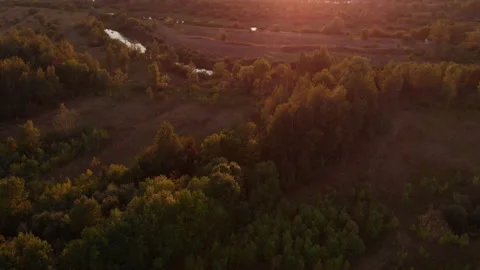 An aerial view of the forest during a warm summer sunset. Stock Footage 169498950