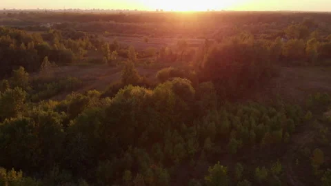 An aerial view of the forest during a warm summer sunset. Stock Footage 169499000