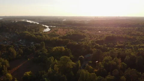 An aerial view of the forest during a warm summer sunset. Stock Footage 169500442