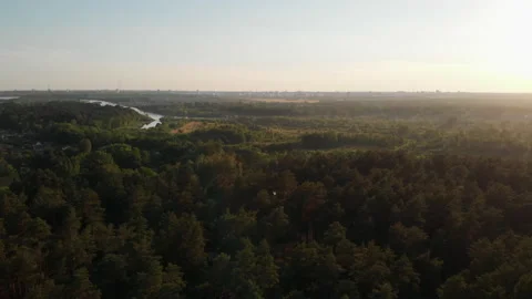 An aerial view of the forest during a warm summer sunset. Stock Footage 170566936