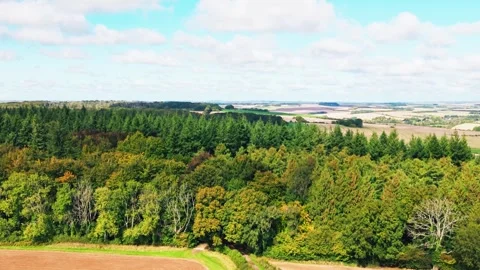 Aerial View of Forest Edge and Farmland in the English Countryside Vídeo Stock 331117892