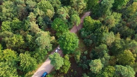 Aerial view of forest edge with dirt road, two parked vehicles, and dense 스톡 동영상 323011682