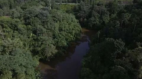 Aerial view at forest empty road with motorcycle passing by in morning, Asia 動画素材 146882346