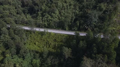 Aerial view at forest empty road with camera tilt down in morning, Asia Stock Footage 146882696