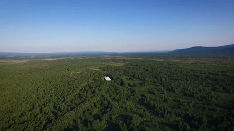 Aerial view of the forest, fields and hills in the fog Stock Footage 85678158