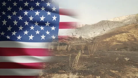 Aerial view of forest fire aftermath, split with USA Flag - 3D render Video stock 155953073