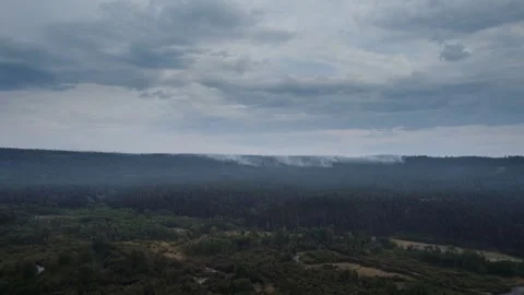 Aerial view of Forest Fire. Burned Trees After Wildfire, Smoke pollution Stock Footage 307116861