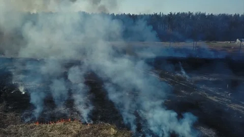 Aerial view. Forest fire Fire grass near the forest. Thick smoke and fire Stock Footage 105797582