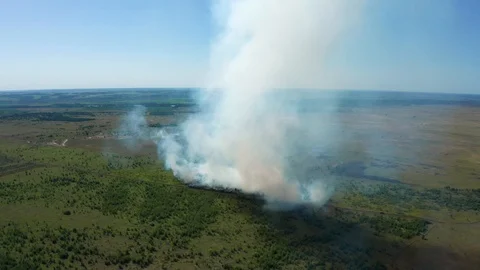 Aerial view forest fire with huge smoke in green summer meadows and fields Video stock 113334653