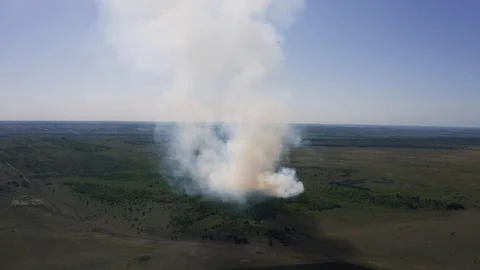 Aerial view forest fire with huge smoke in green summer meadows and fields Stock Footage 114774789