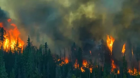 Aerial view of a forest fire at night, heavy smoke causes air pollution. Stock Footage 246579846