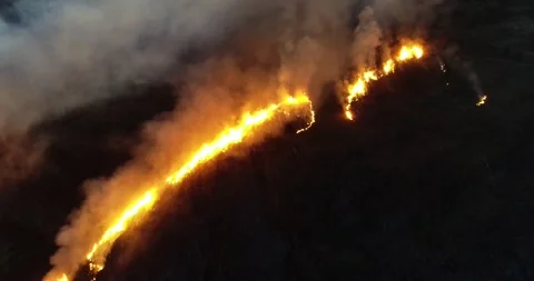 Aerial view of a forest fire at night with large flames The Concept of Disast Stock Footage 317564643