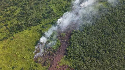 Aerial view of forest fire spreading through green hills 库存影片 337723122