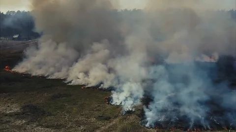 Aerial view. Forest fire. Wild fire Stock Footage